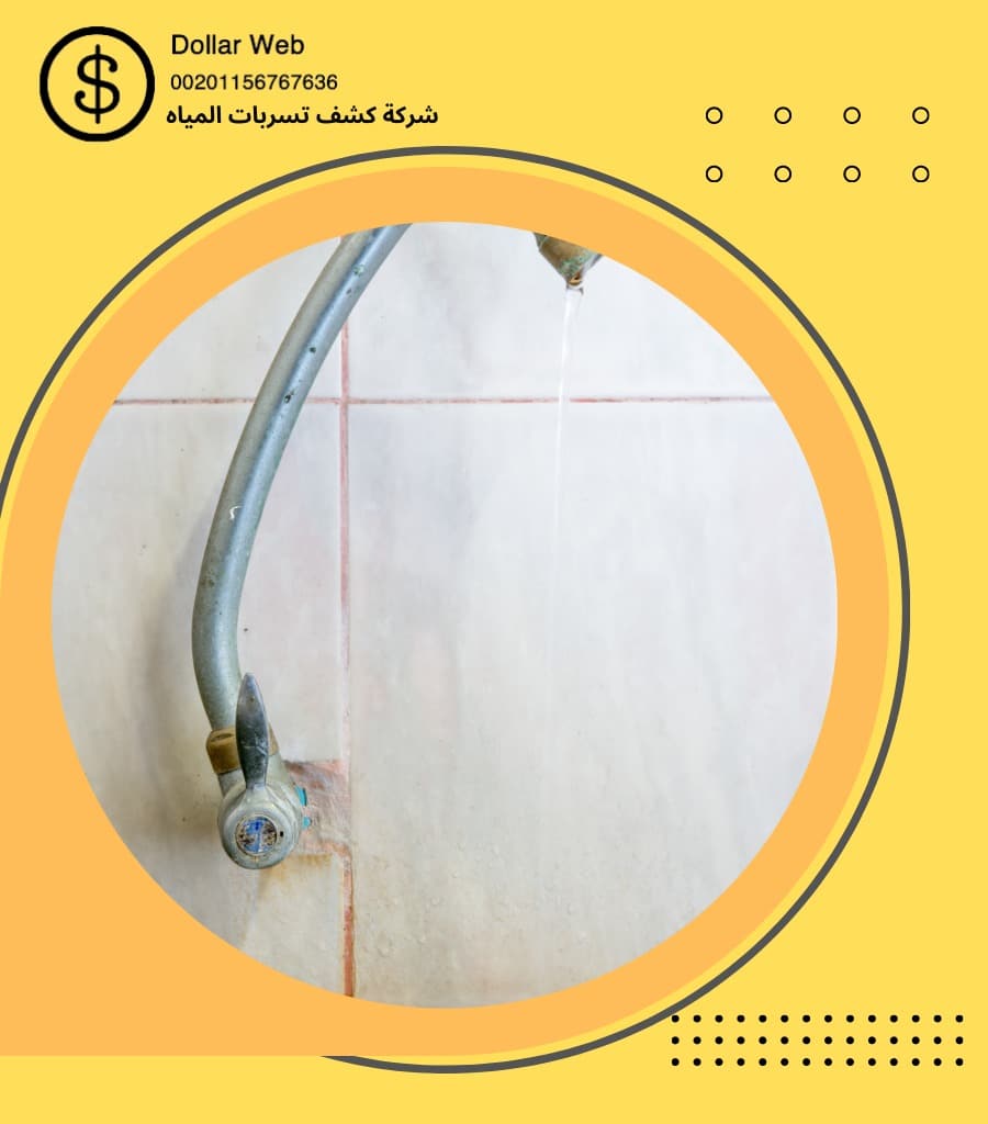 شركات كشف تسربات الدمام