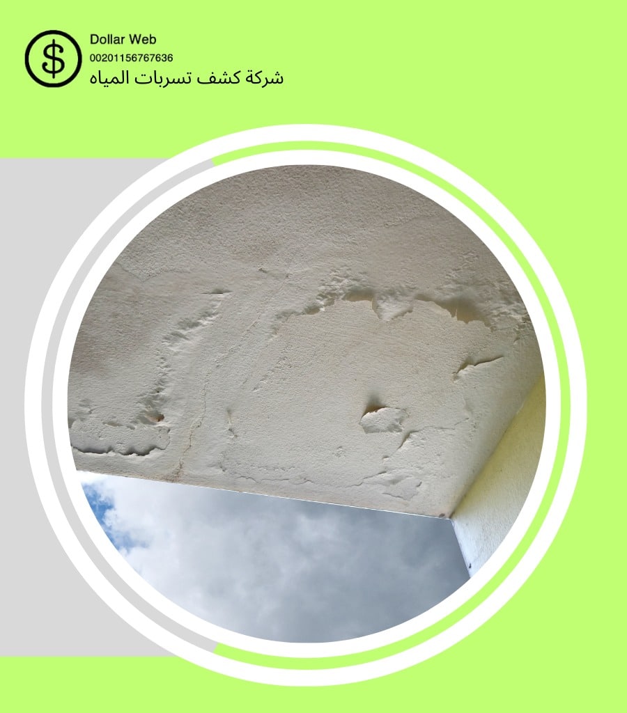 كشف تسربات حي الحاكمية