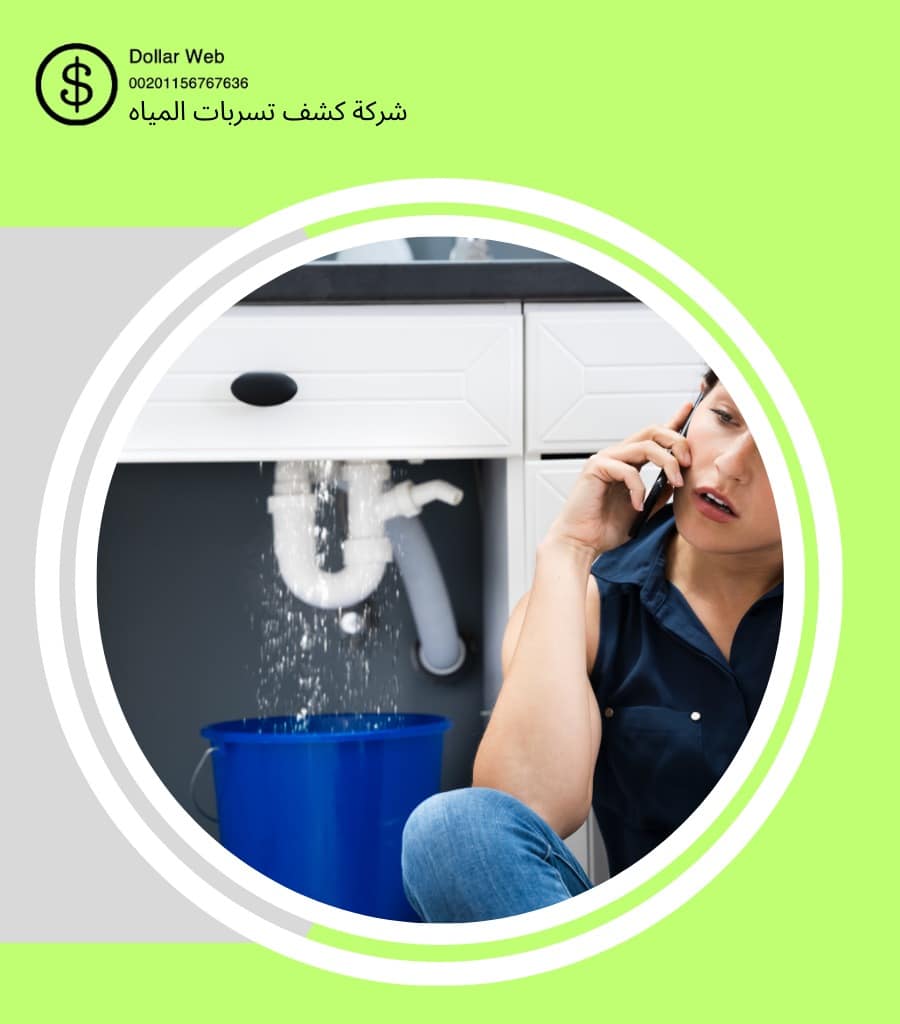 كشف تسربات حي الدواسر