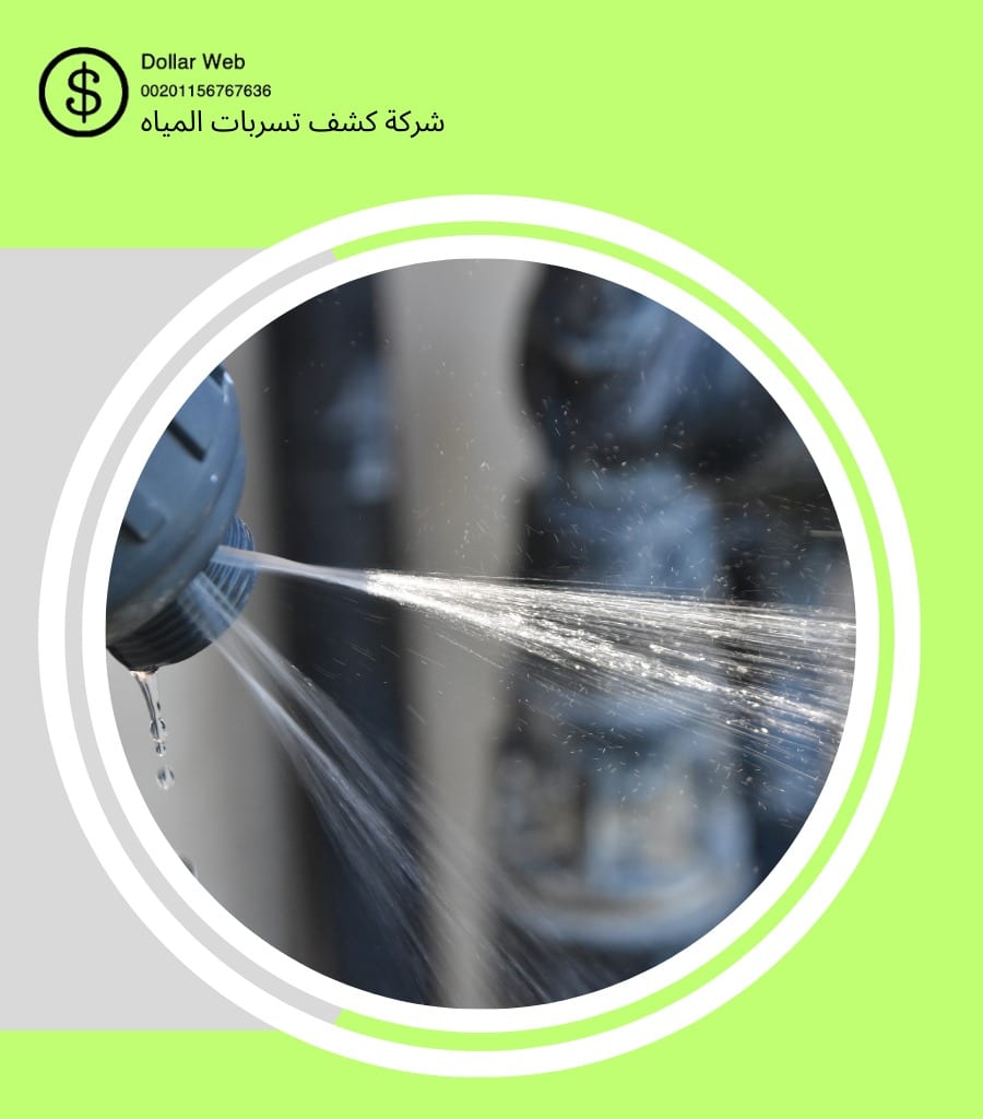 كشف تسربات حي المزروعية