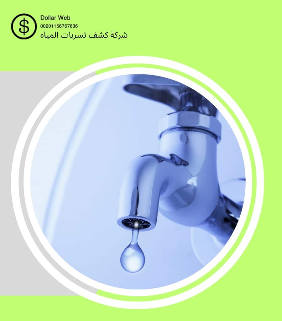 كشف تسربات حي الفرسان