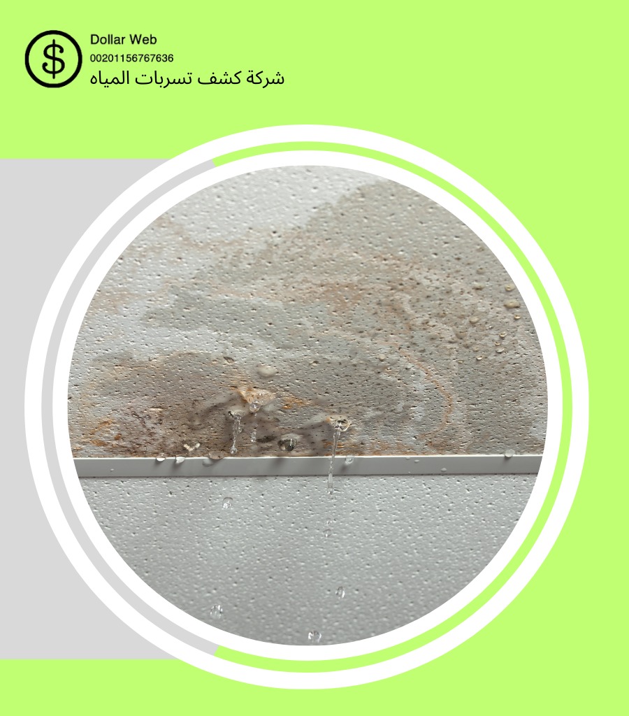 شركة كشف التسربات