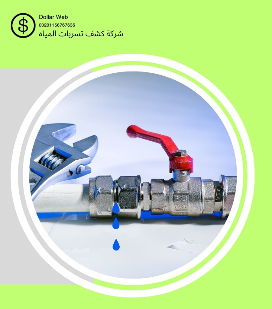 شركة كشف تسربات الفاخرية