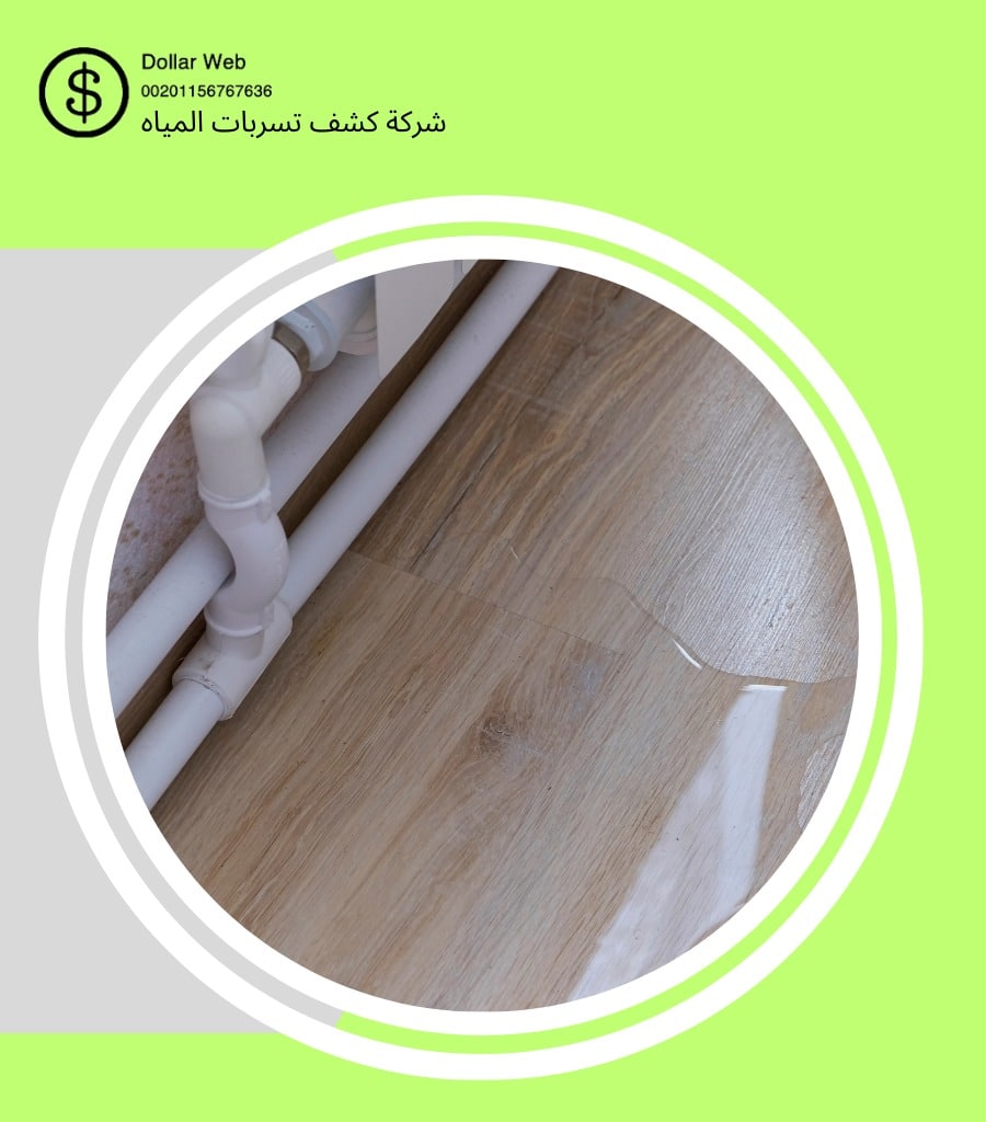 كشف تسربات حي الضباب