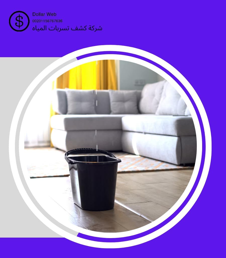 كشف تسربات حي القشلة