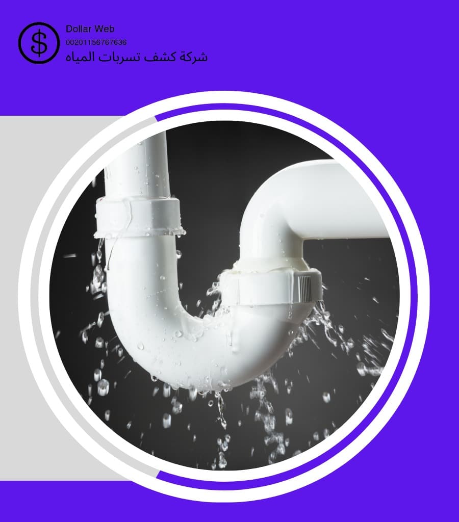 شركة كشف تسربات النورس