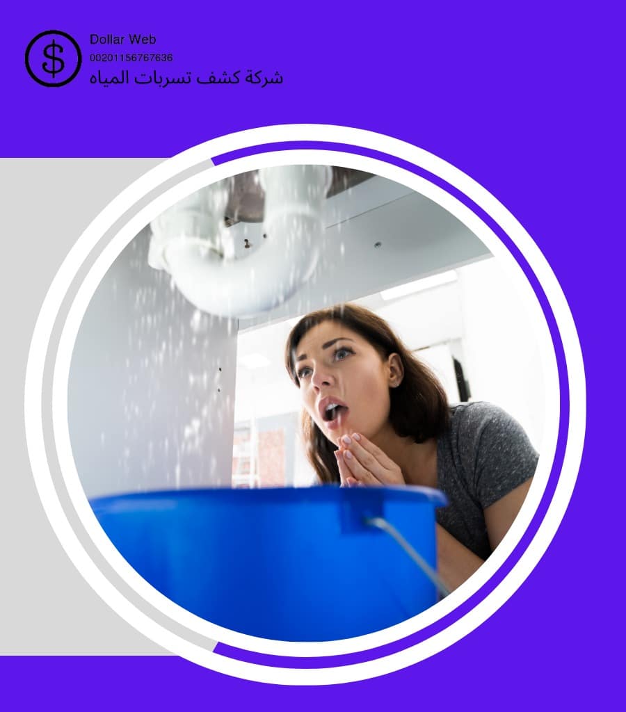 شركة كشف تسربات بالدمام