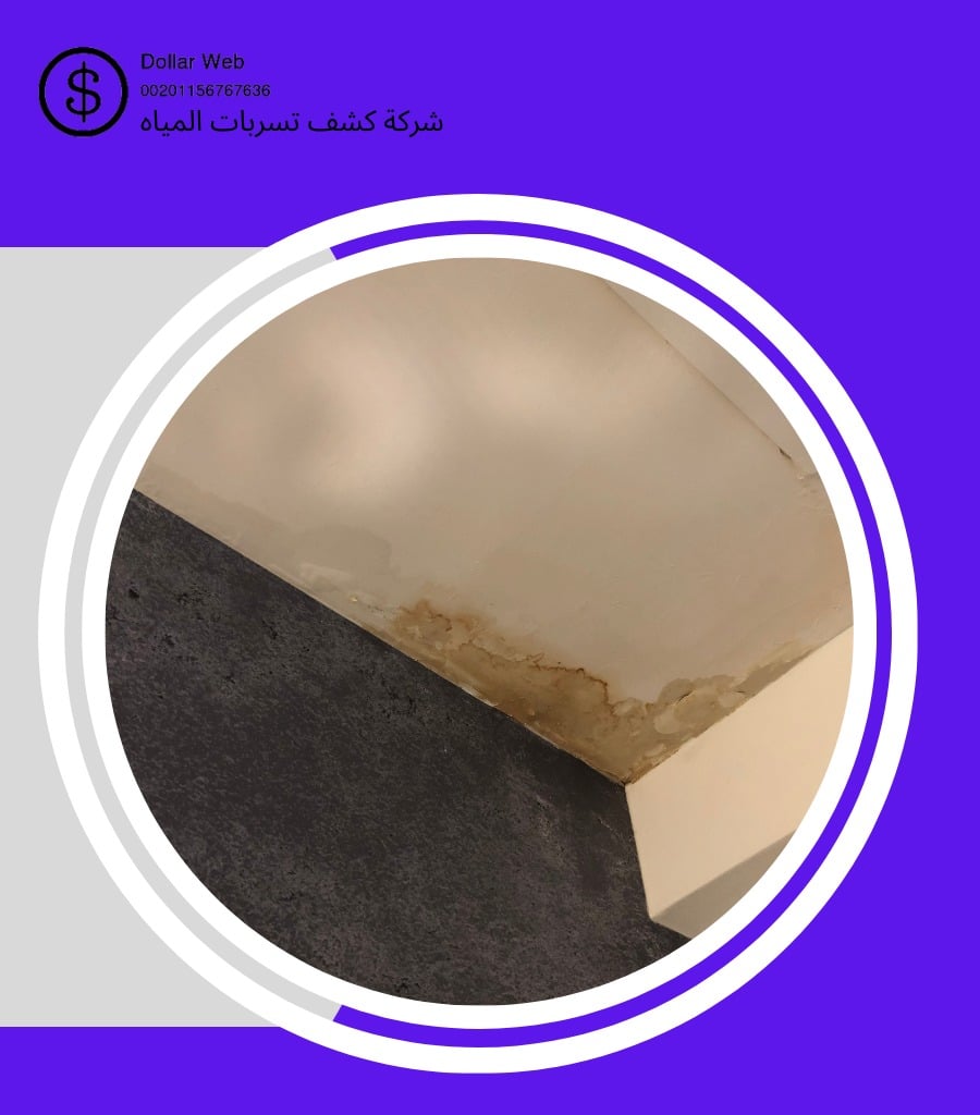 كشف الخرير في البديع