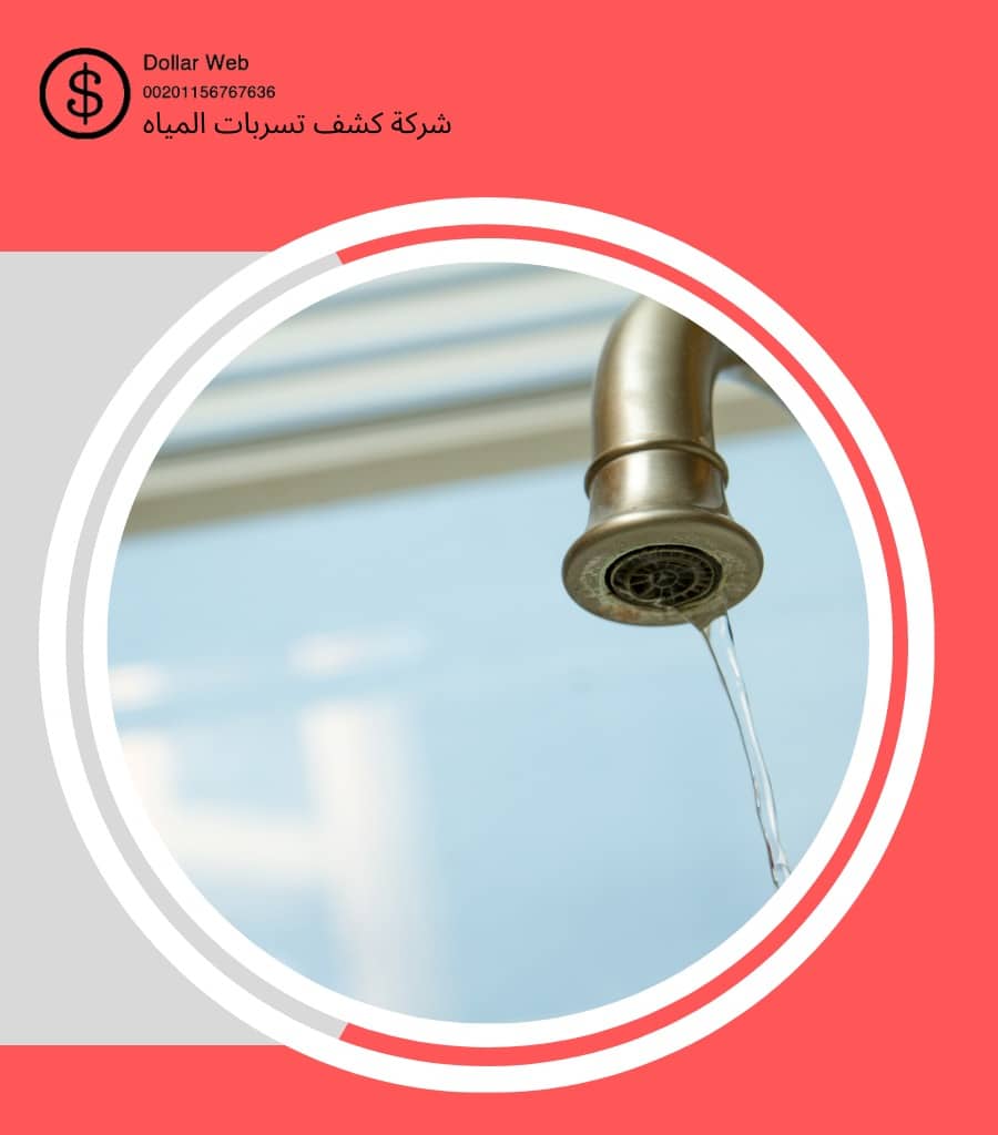 شركة كشف التسربات الدمام